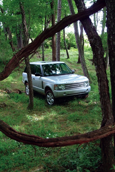 Land Rover through trees