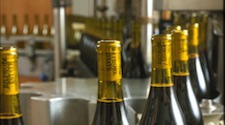 wine bottles in the bottling plant