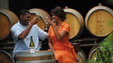 Couple toasting with white wine at the winery