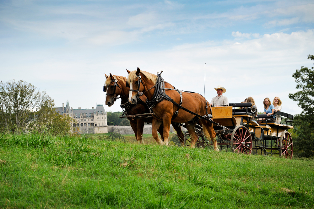People on a carriage ride