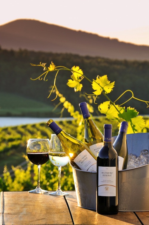 Basket of assorted wine in front of the vineyard