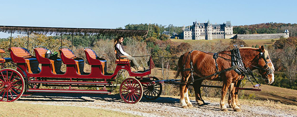 carriage ride