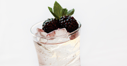 Biltmore Sparkling Blackberry Punch