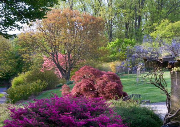 Shrub garden in bloom at Biltmore